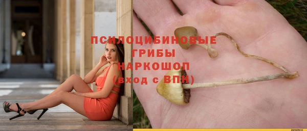 не бодяженный Богородицк