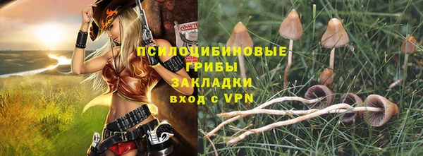 apvp Семёнов