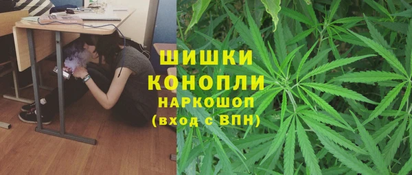 дурь Богданович